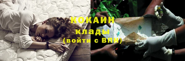 крисы Вязники