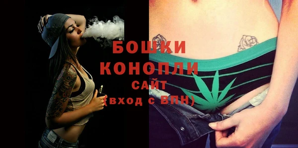 тгк Горнозаводск
