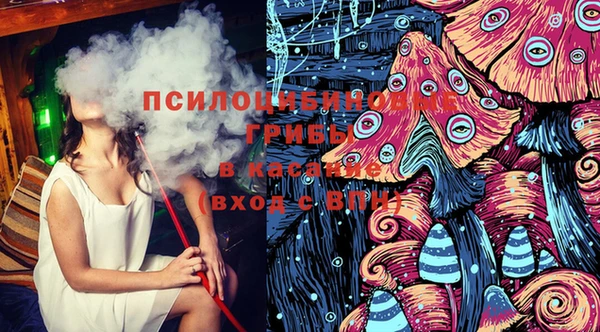 крисы Вязники